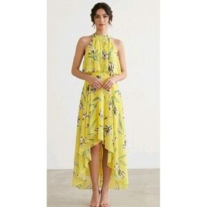 Eliza J Floral Ruffle High Low Hem Chiffon Halter Neck Dress Size XS Beach Boho